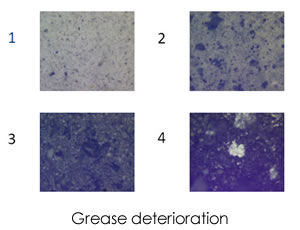 著細鐵和磁性磨損顆粒的增加，回轉軸承的惡化，第四張圖像顯示潤滑脂完全干燥